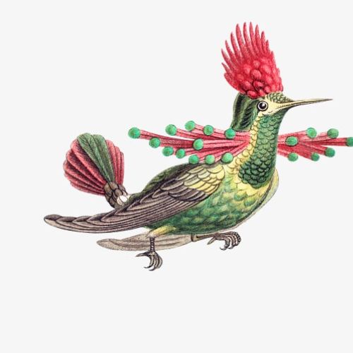 Иконка канала channel75922310