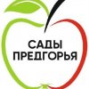 Иконка канала ООО "Сады Предгорья", ст. Новодмитриевская