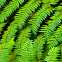 Иконка канала САМЫЙ ПОЗНАВАТЕЛЬНЫЙ КАНАЛ. ВСЁ О РАКЕ ПРОСТАТЫ.