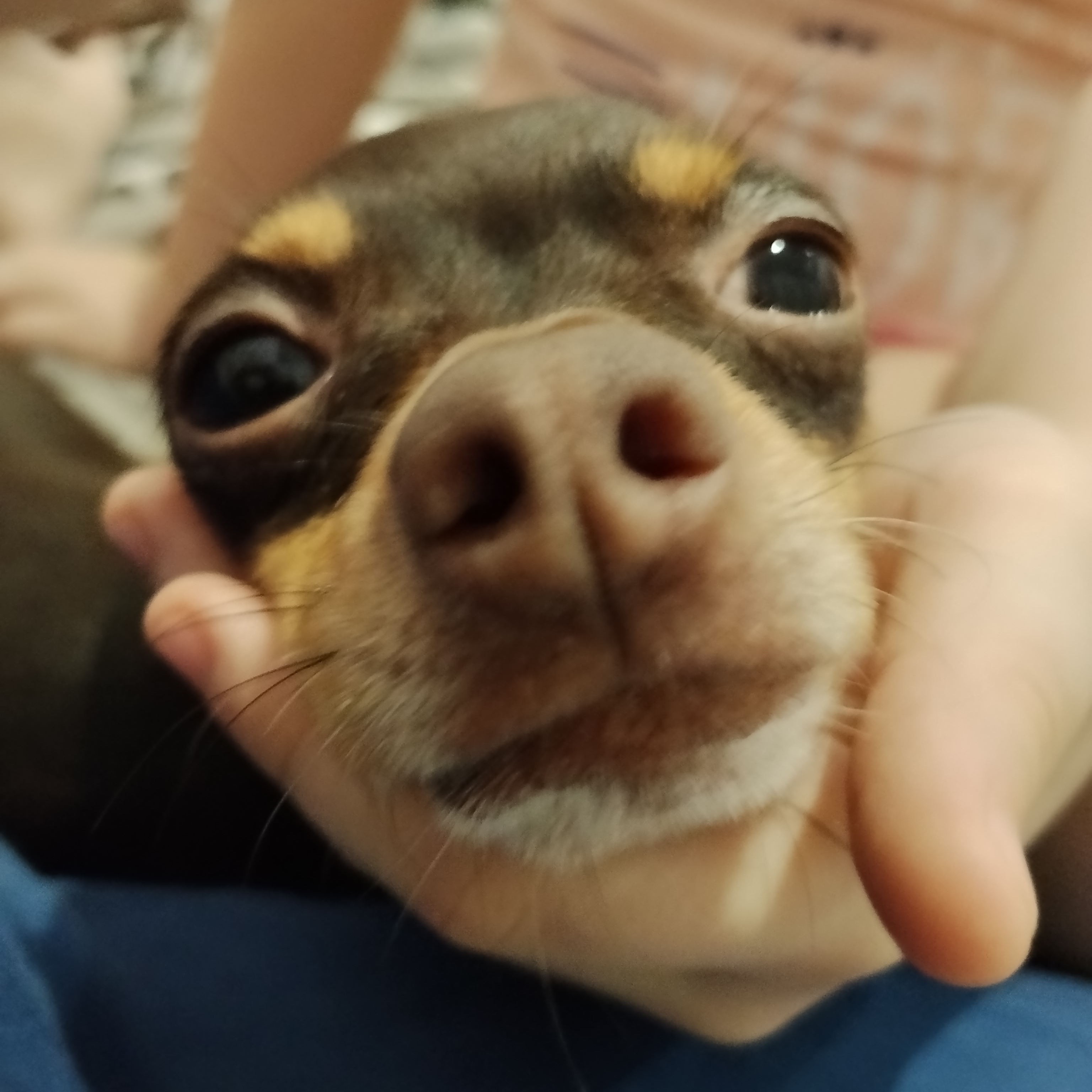 Иконка канала Люблю бублики!