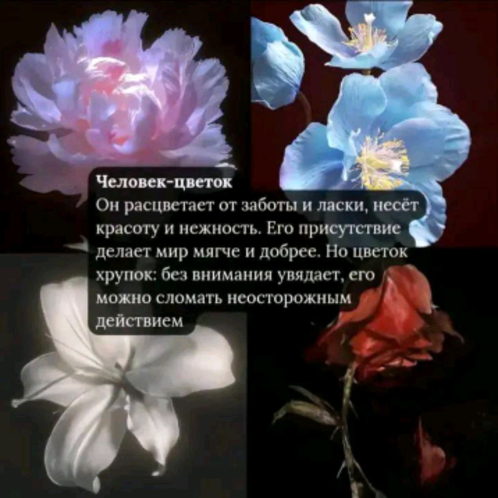 Иконка канала Polina_malina