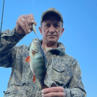 Иконка канала Обь.86