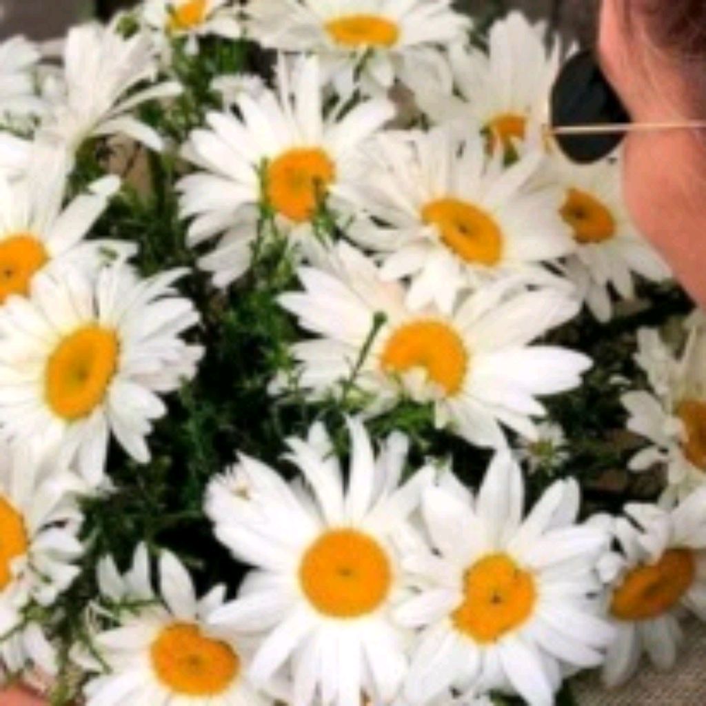 Иконка канала Nadezhdap