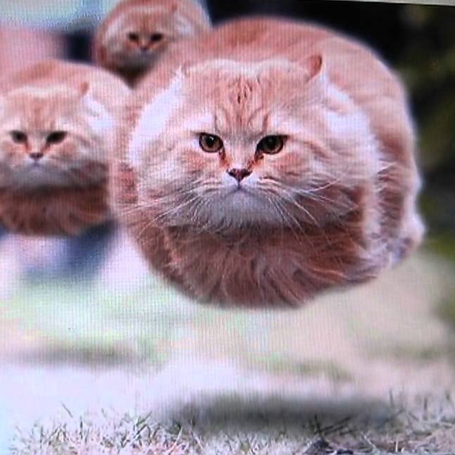 Иконка канала flowey