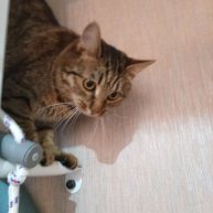 Иконка канала KRIPER228