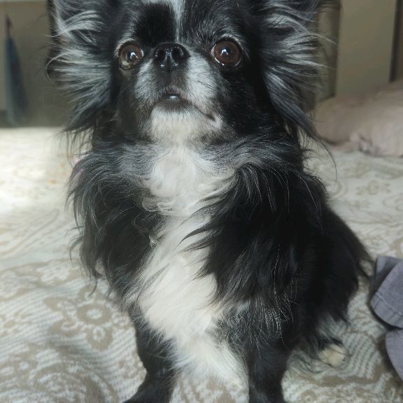 Иконка канала Анатолий Че