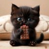 Иконка канала 🐈‍⬛~Алёна~🍫
