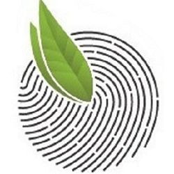 Иконка канала Берёза и партнёры| коллегия адвокатов