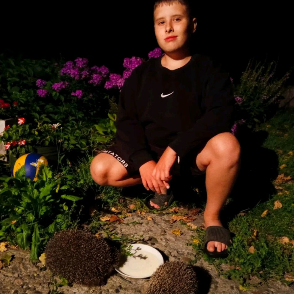 Аватар автора