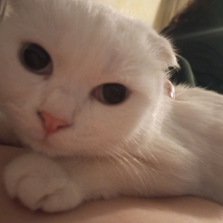 Иконка канала ШТРЕХ