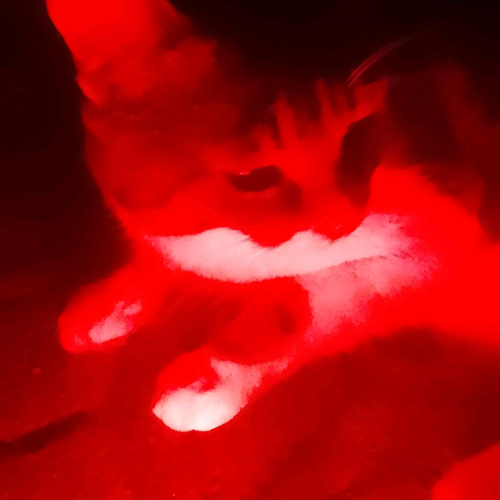 Иконка канала Димон Лимон