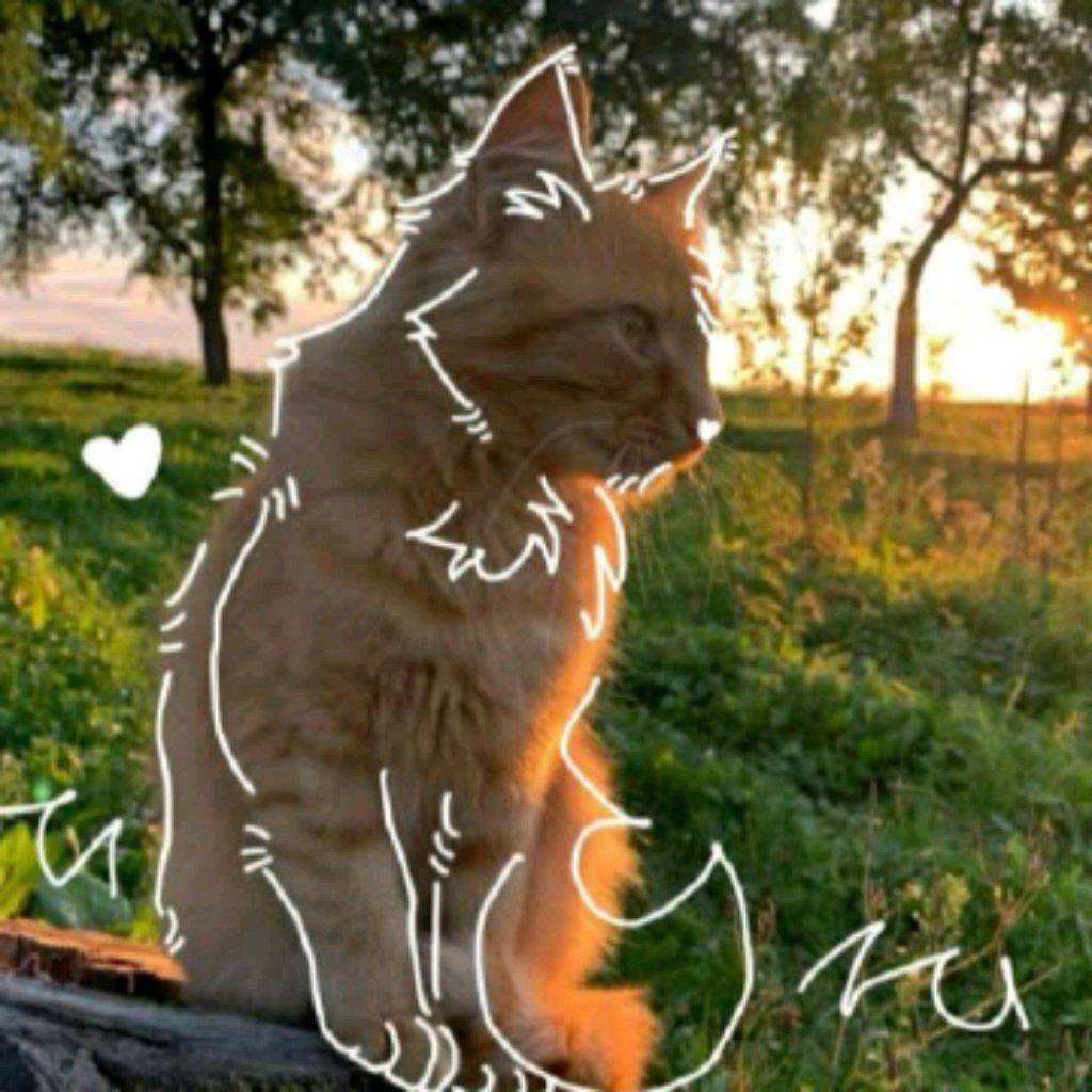 Аватар автора