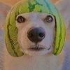 Иконка канала чёрна белый чувак