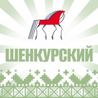 Иконка канала Шенкурский муниципальный округ