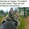 Иконка канала Emiliya_ayshka 67