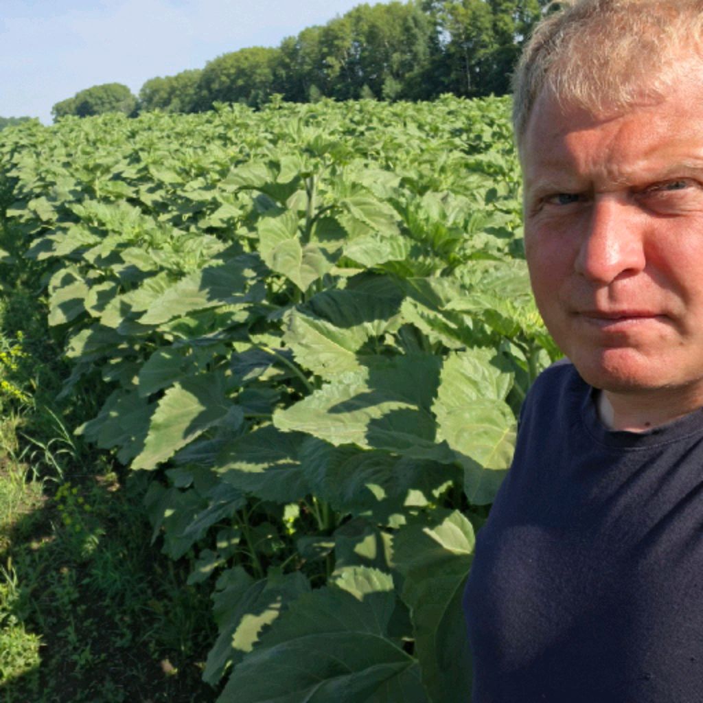 Иконка канала Балашов Вадим