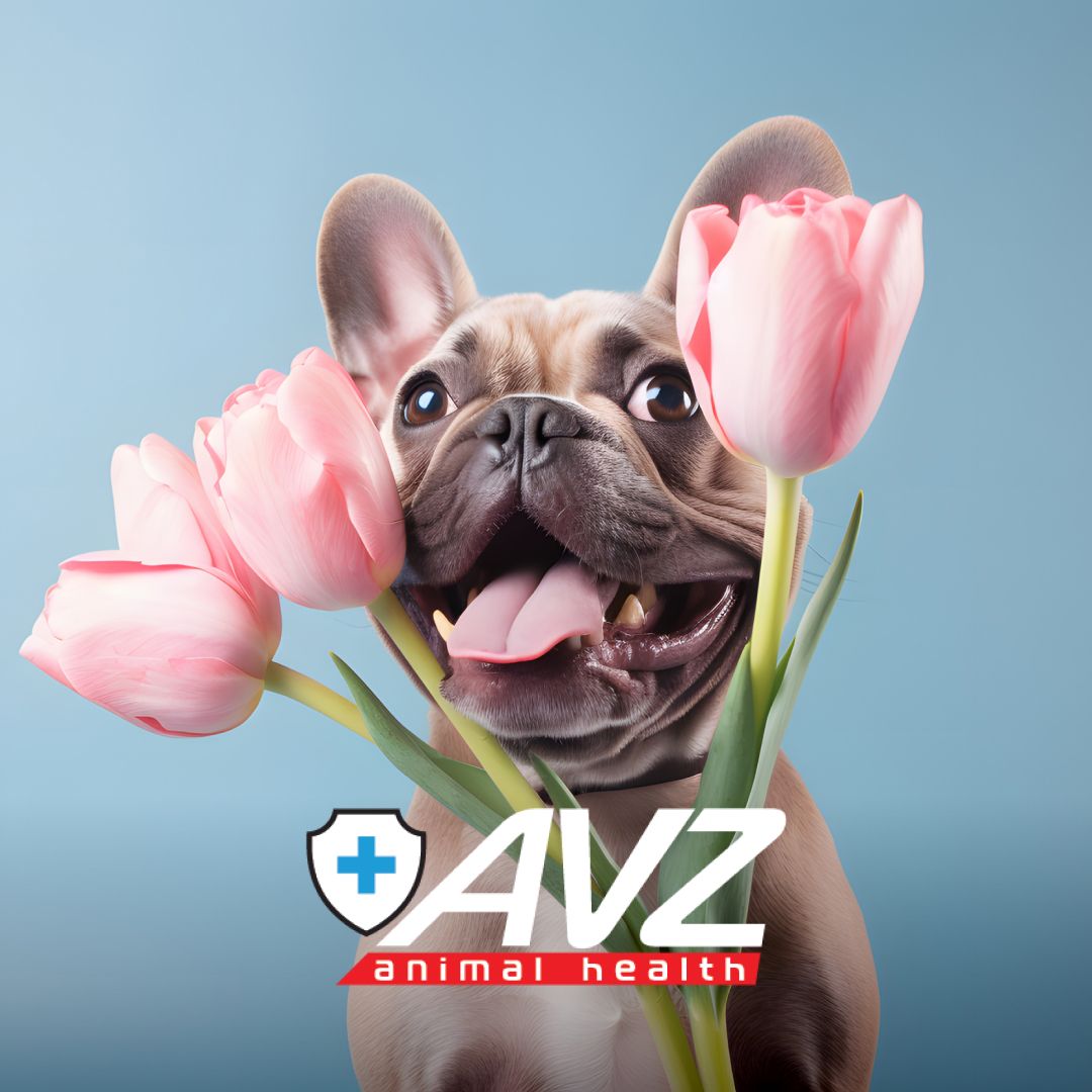 Иконка канала AVZ. Дайджест о здоровье животных