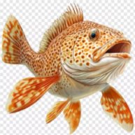 Иконка канала Бельдюга ТВ