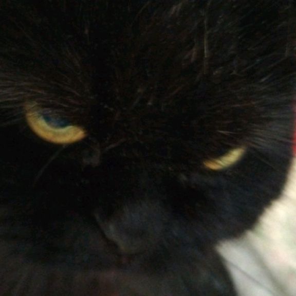 Иконка канала zero_search