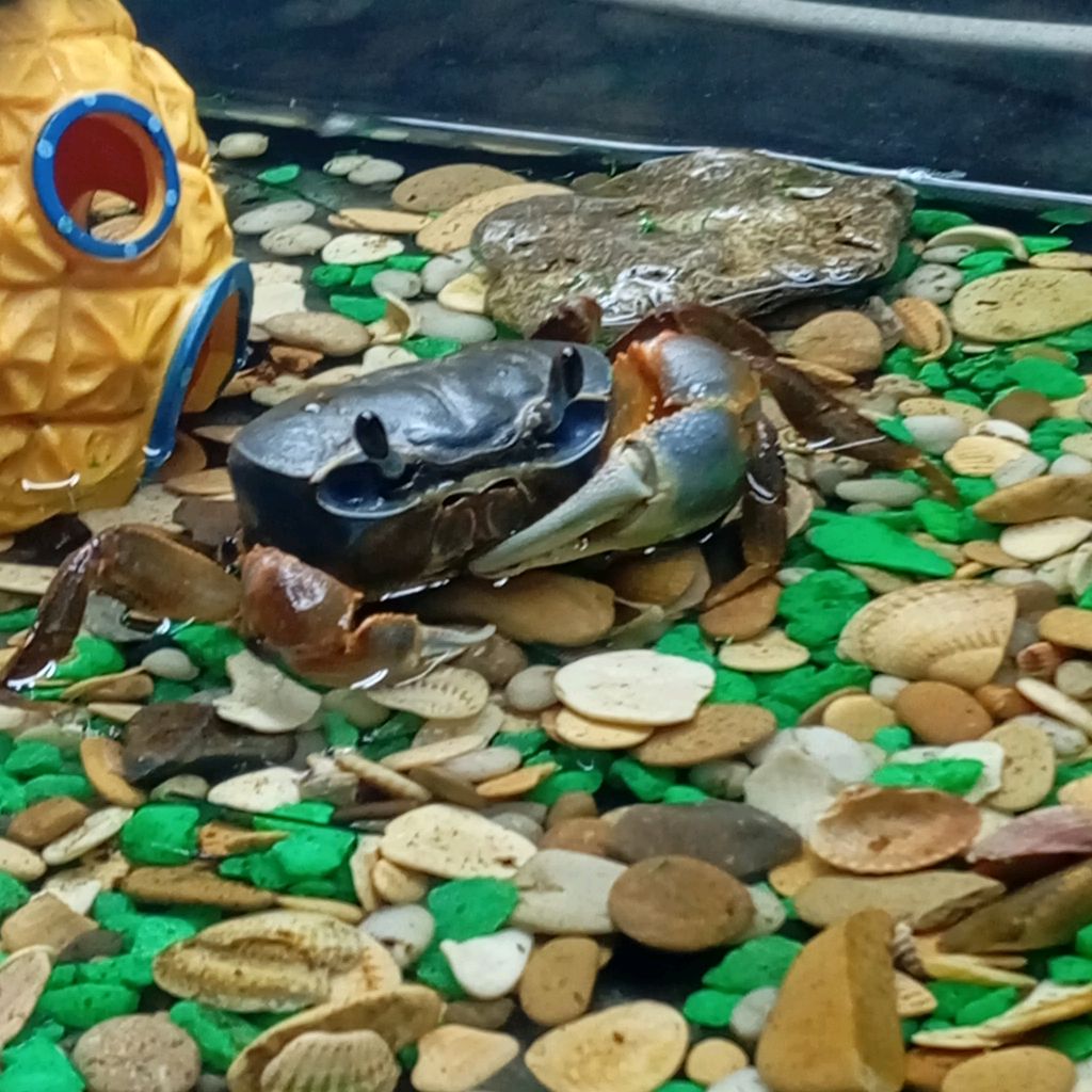 Иконка канала Денчик