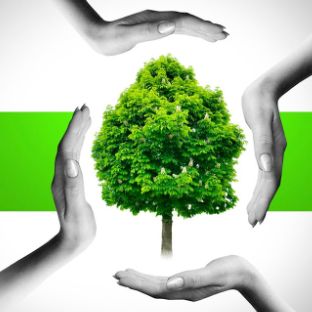 Иконка канала Клуб ПроРост