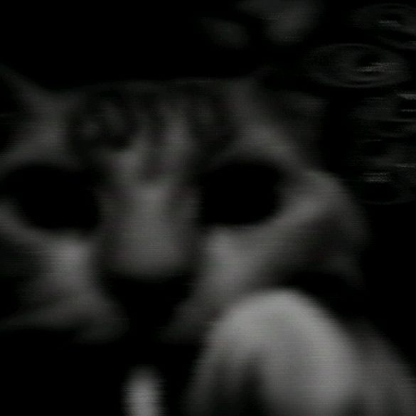 Иконка канала beLuGa