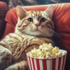 Иконка канала 🐈 КиноКот🍿