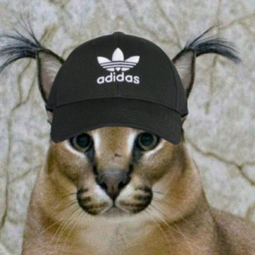 Иконка канала Шлепан