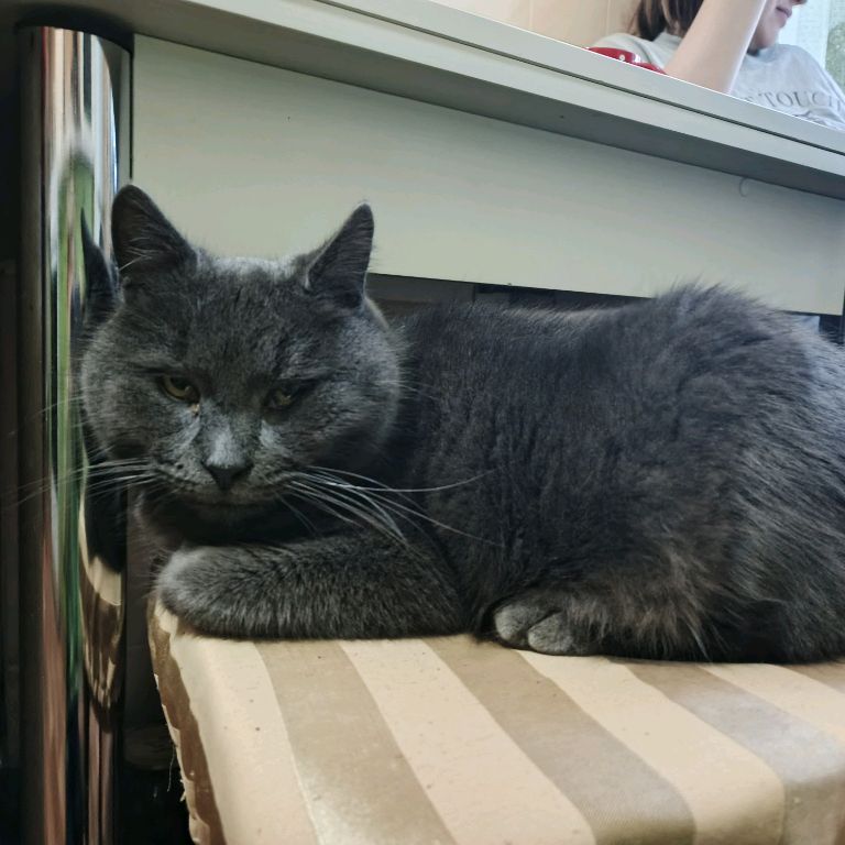 Иконка канала channel68190517