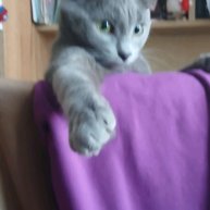 Иконка канала Егор Космос