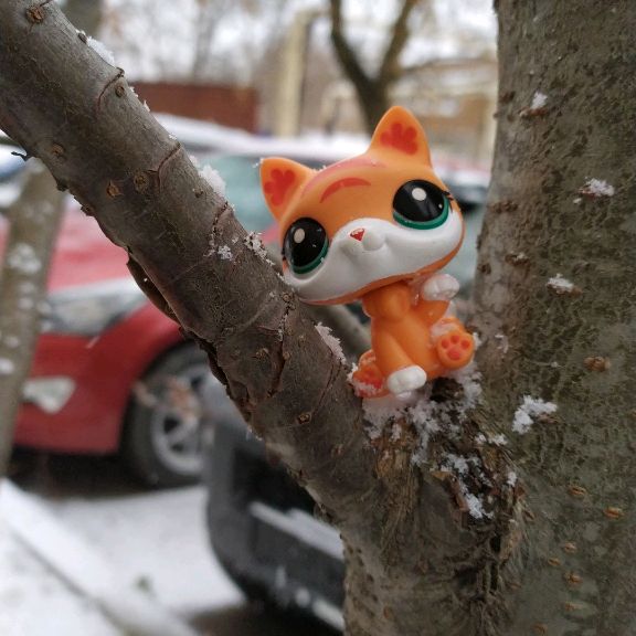 Аватар автора