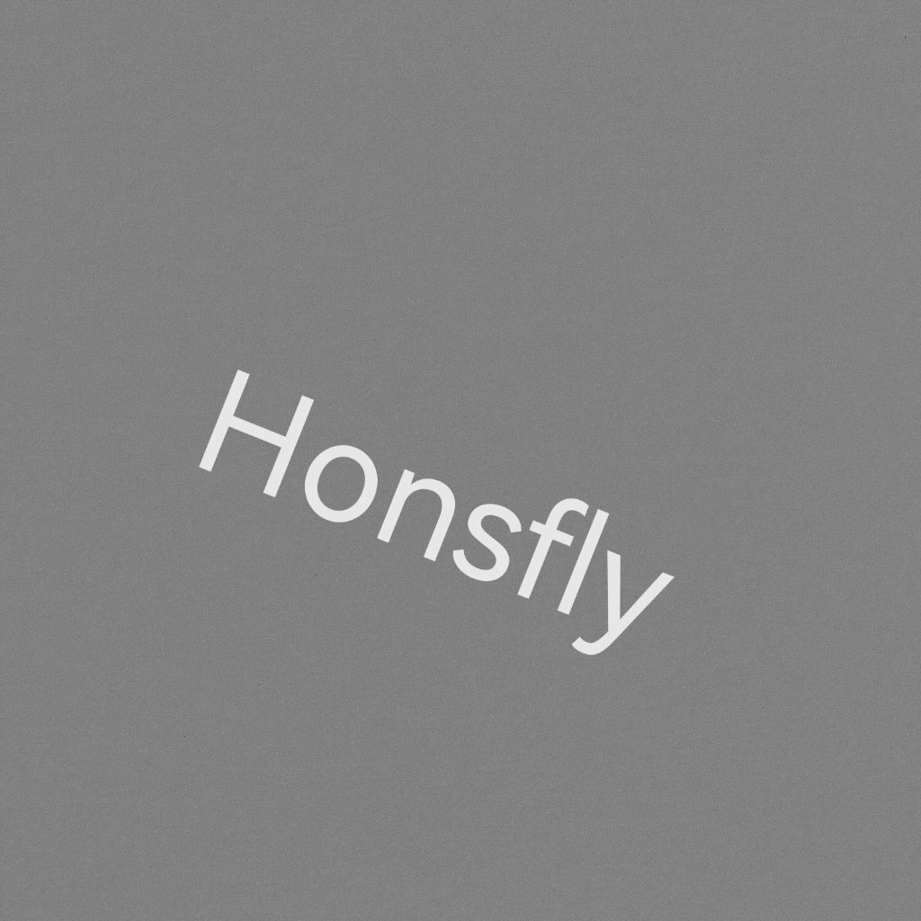 Иконка канала Honsfly