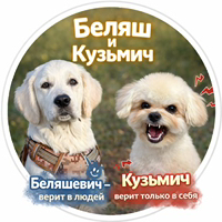 Иконка канала Беляш и Кузьмич🐶