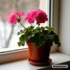 Иконка канала Моя Весёлая Жизнь