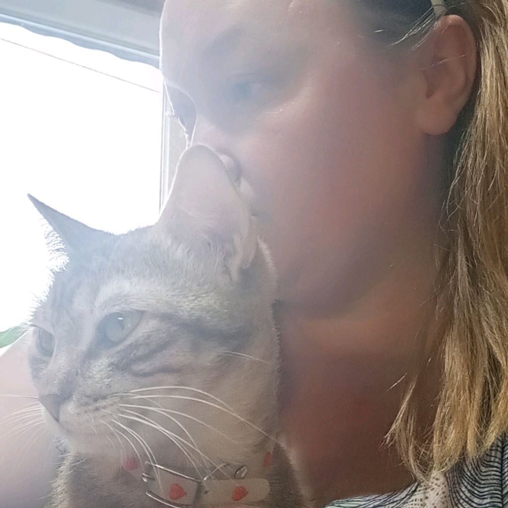 Иконка канала Деревенька🏠
https: