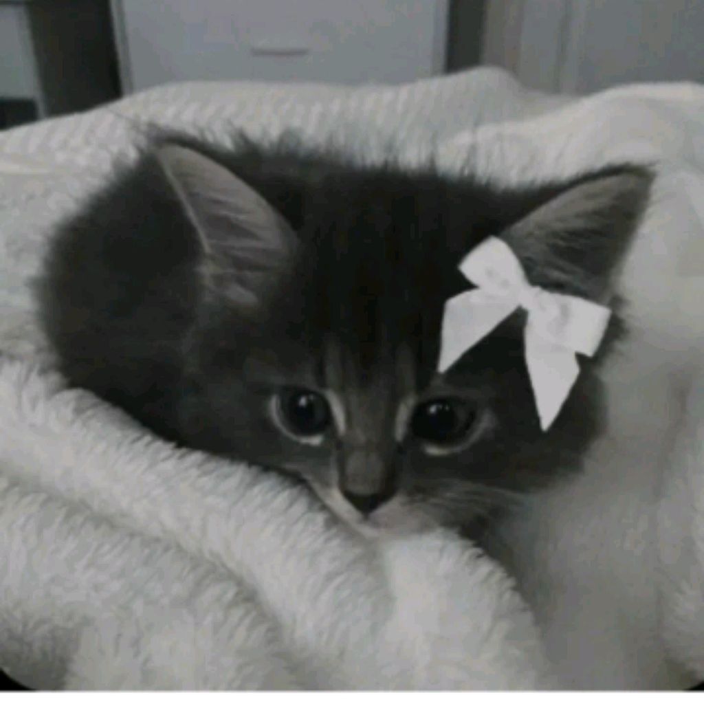 Иконка канала Vezya❤🩹