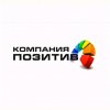 Иконка канала Позитив ДНР