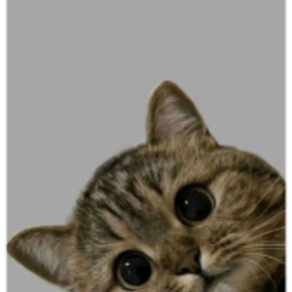 Иконка канала Робия