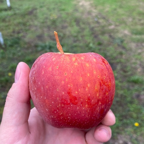 Иконка канала Аграрная семья