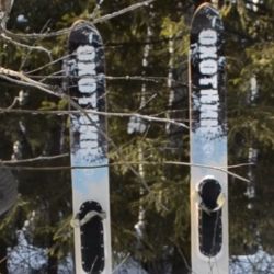 Иконка канала СибирскийЛес