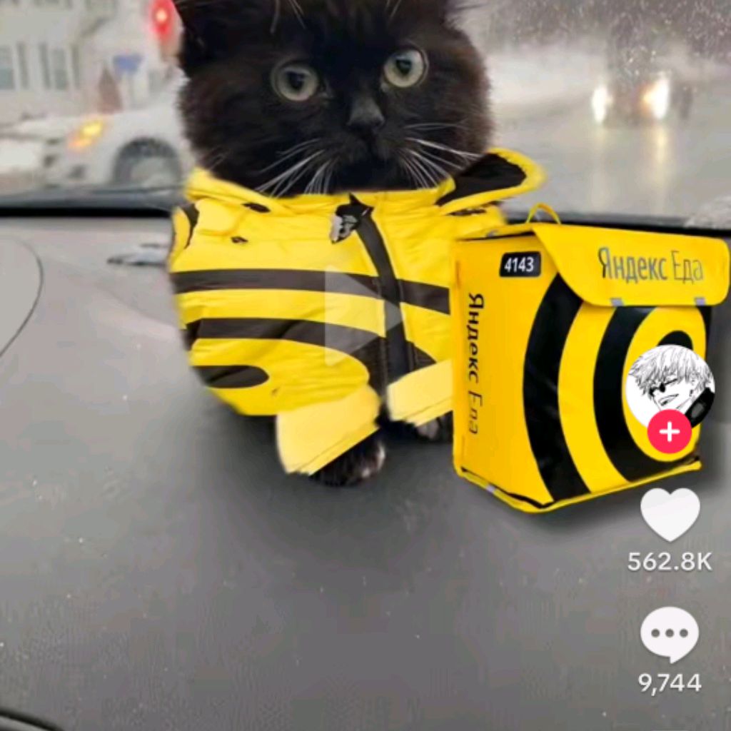 Аватар автора