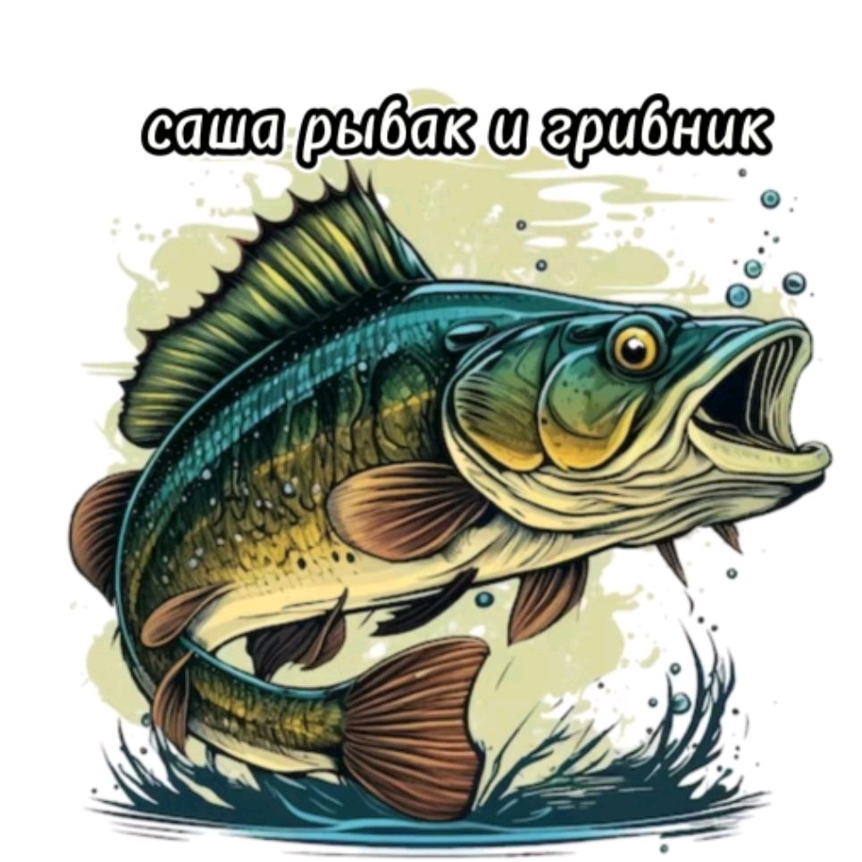 Иконка канала Александр Рыболов И Грибник