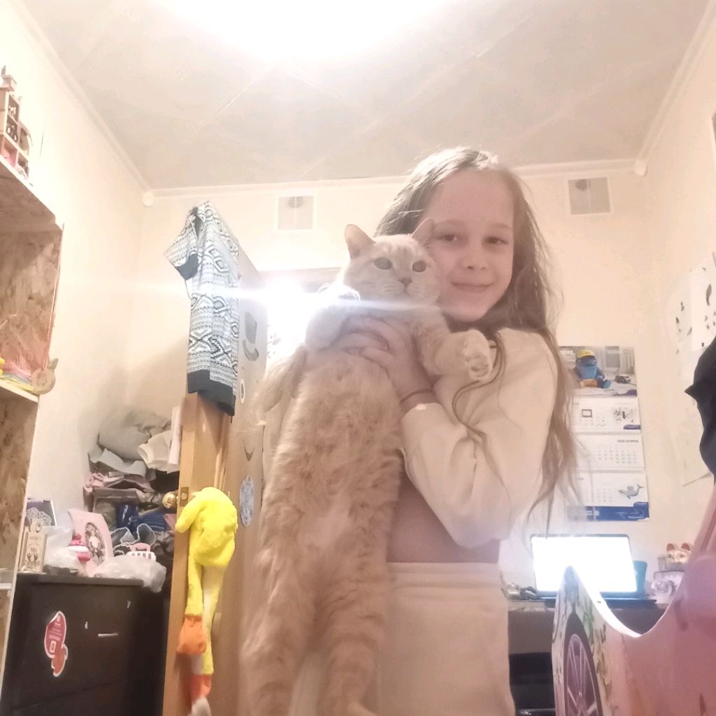 Аватар автора