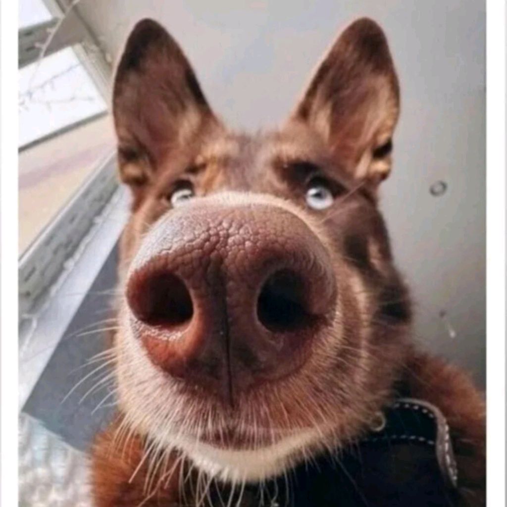 Иконка канала Поржём