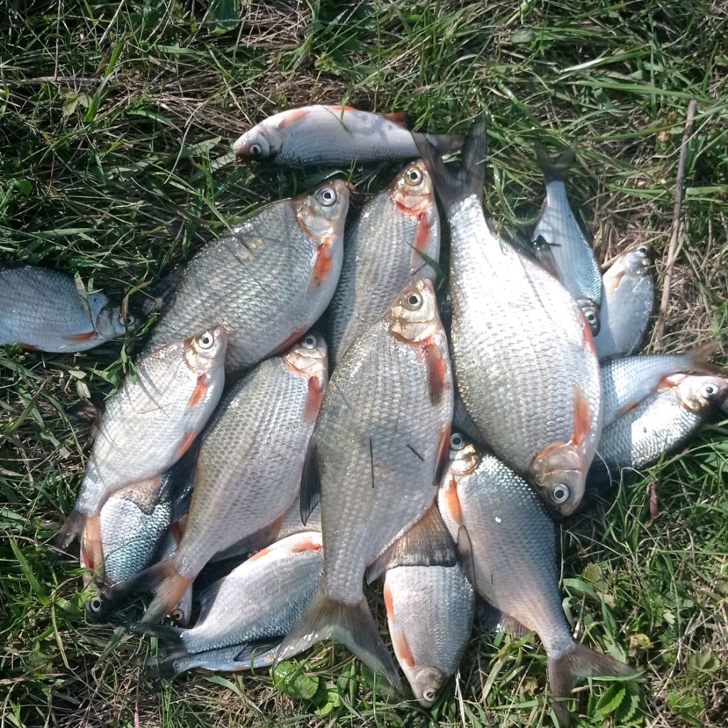 Иконка канала Калян Усовский