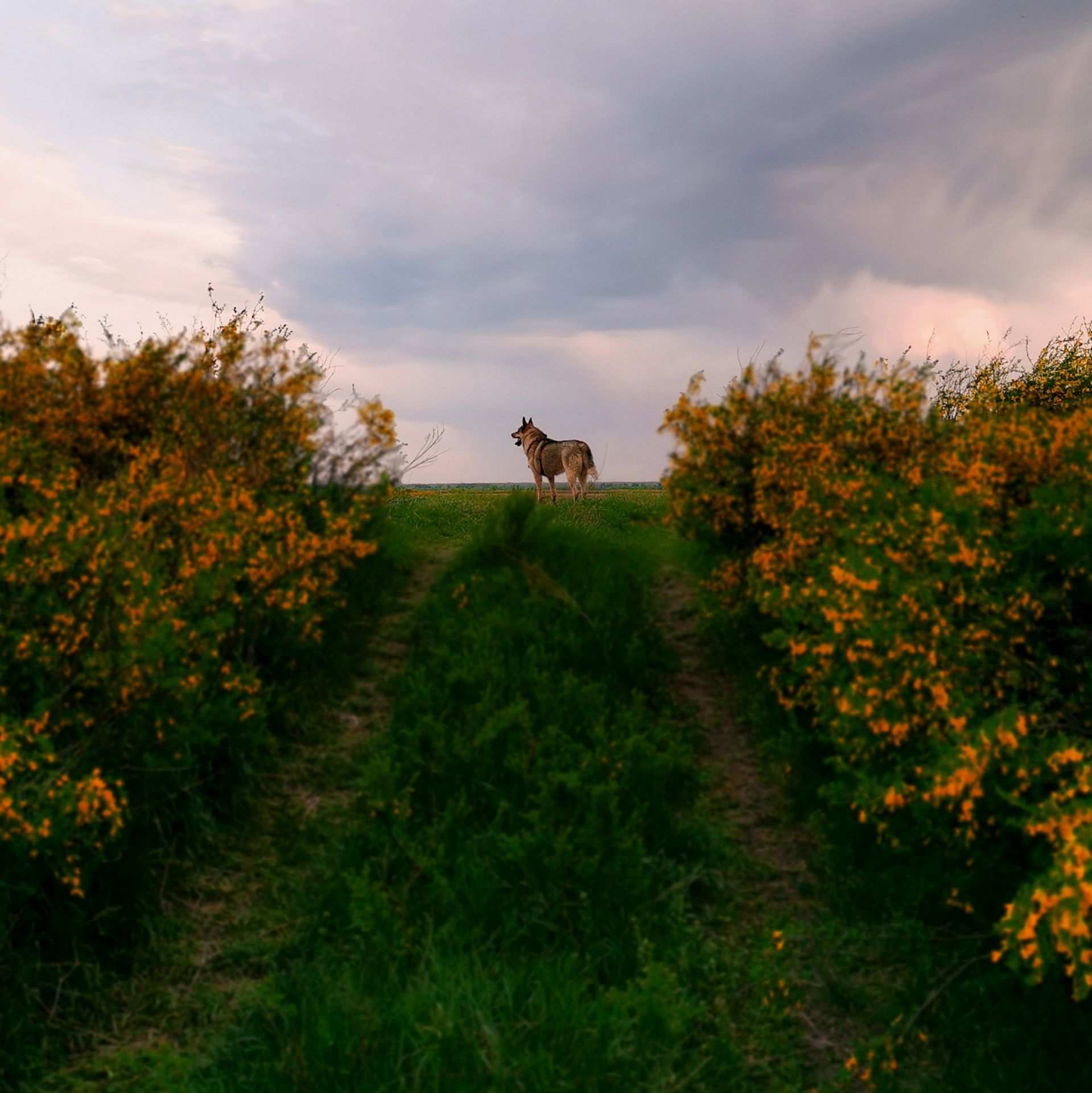 Иконка канала Галька Клоп и непричёсанная красота