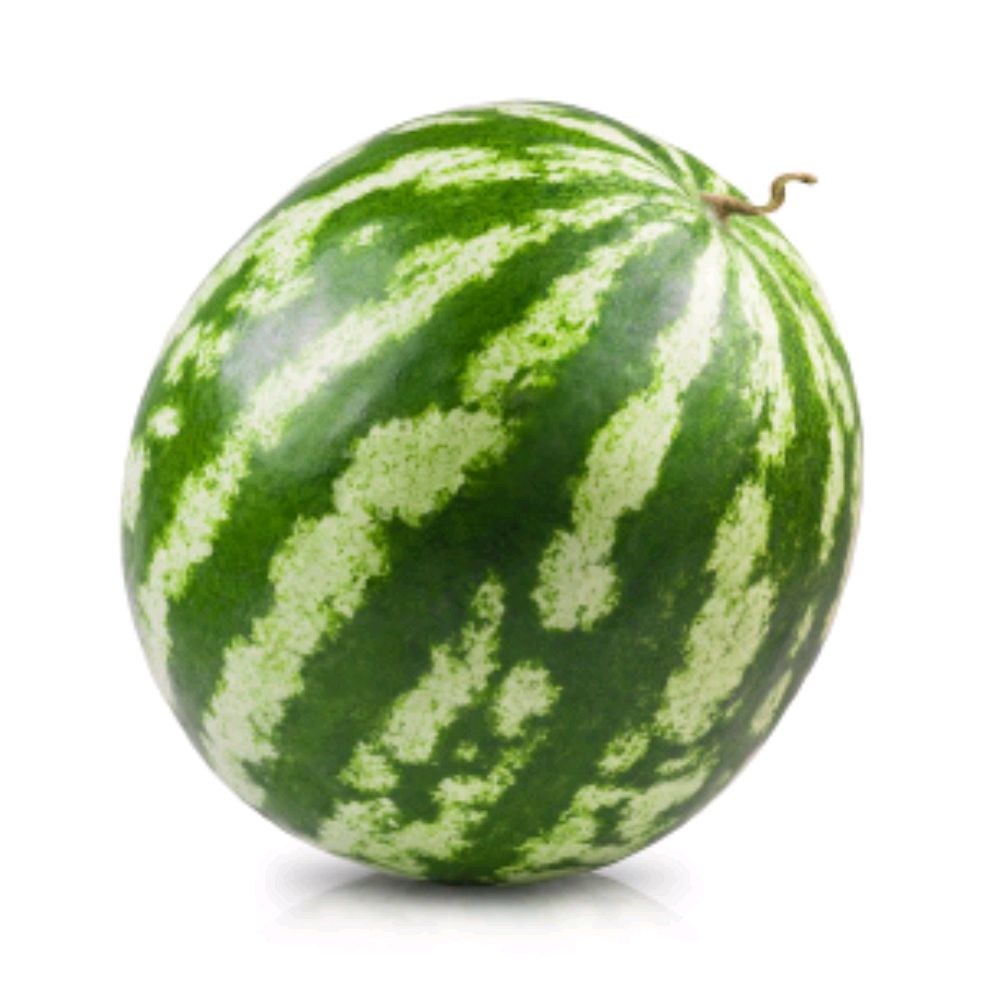 Иконка канала God of Watermelons (Бог Арбузов)