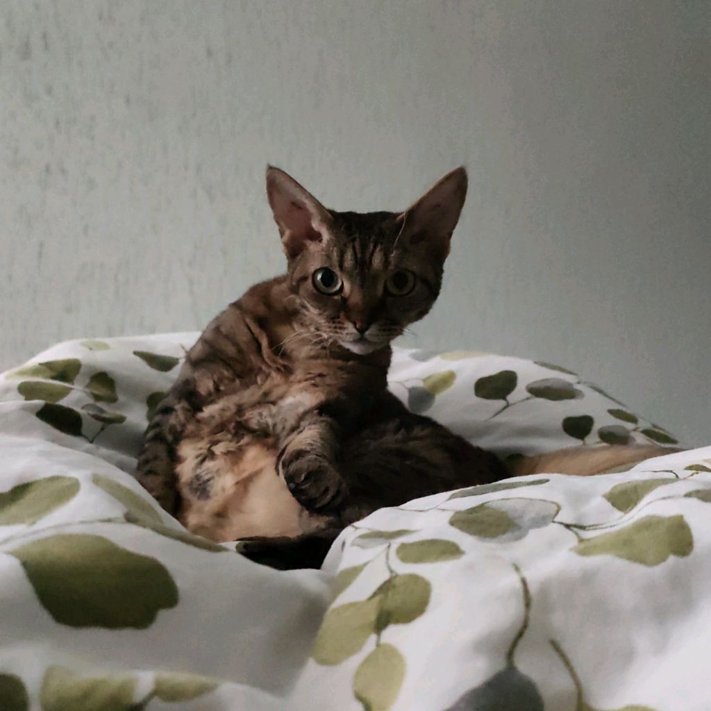 Иконка канала channel74530513