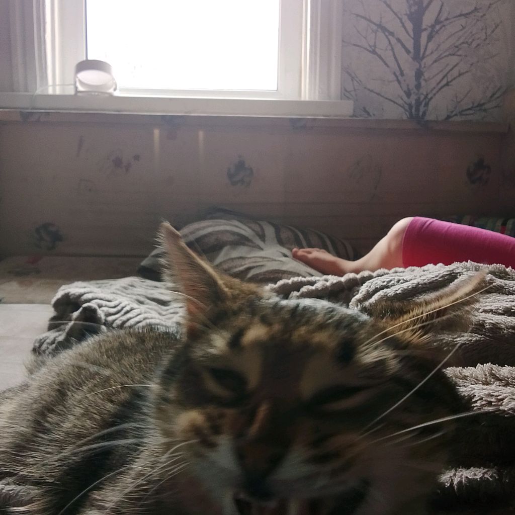 Иконка канала channel76388681