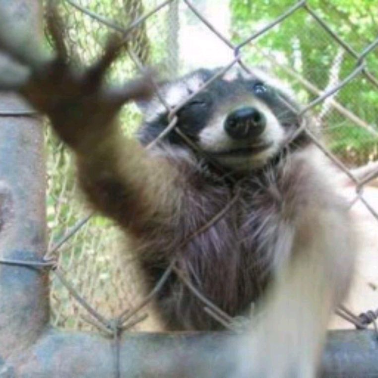 Иконка канала channel24012865